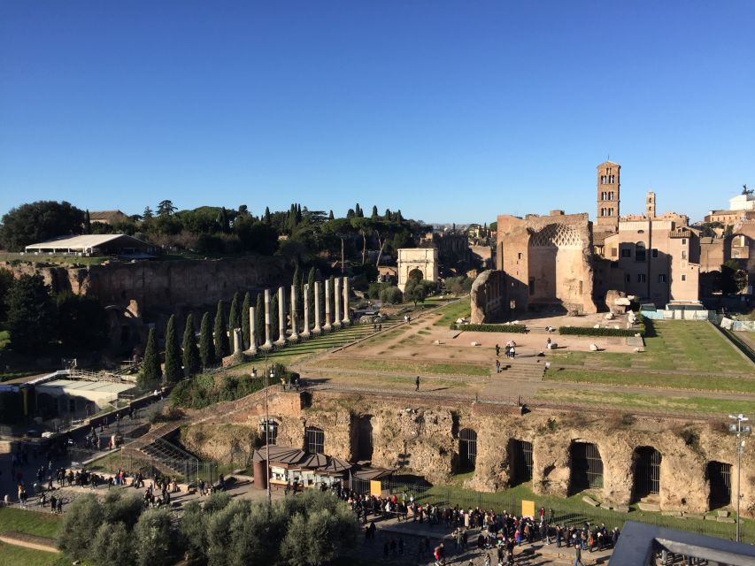Rome: Roman Forum, Palatine, and Circus Maximus Tour - Views over the Colosseum and Circus Maximus: the photo moment with context