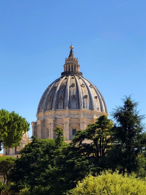 Rome: St. Peter's Basilica Guided Tour and Dome Access - Tour fit: who will love this and who might not
