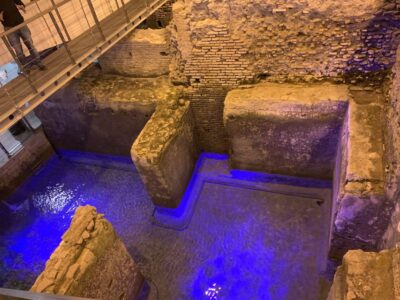 Rome: Trevi Fountain District Underground Domus Guided Tour - Vicus Caprarius: the Roman world underneath Trevi