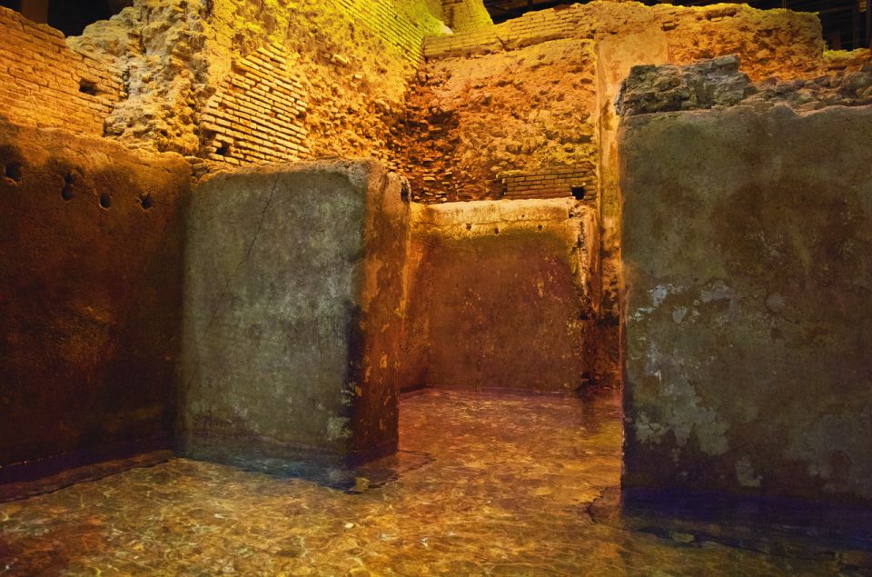 Rome: Trevi Fountain District Underground Domus Guided Tour - Price and value: is $50 a smart use of your Rome time?