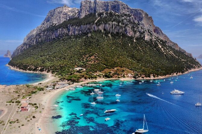 Sailing ship from Porto San Paolo (S.Teodoro-Olbia) to Tavolara, Molara - Stop 4: Protected Marine Area (Tavolara–Punta Coda Cavallo) + Dolphin Search