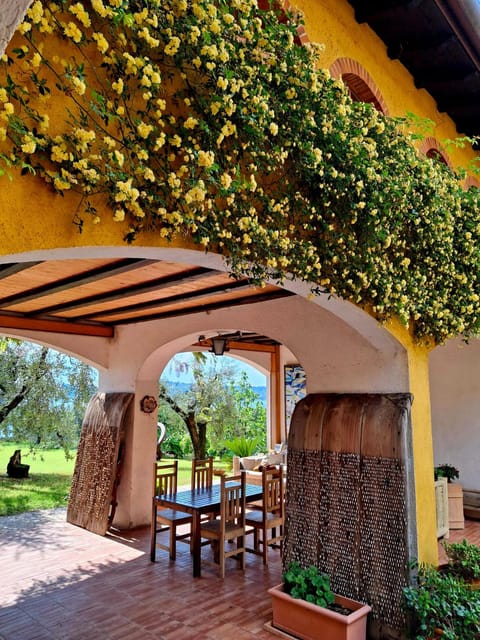 San Felice: Olive Oil Tasting with local food on Garda Hills - Key points to know before you go