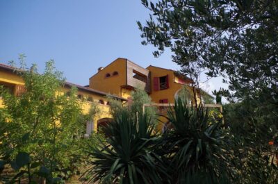 San Felice: Olive Oil Tasting with local food on Garda Hills - First Stop: The Estate Story and Olive Varieties (Why It Starts Off the Right Way)