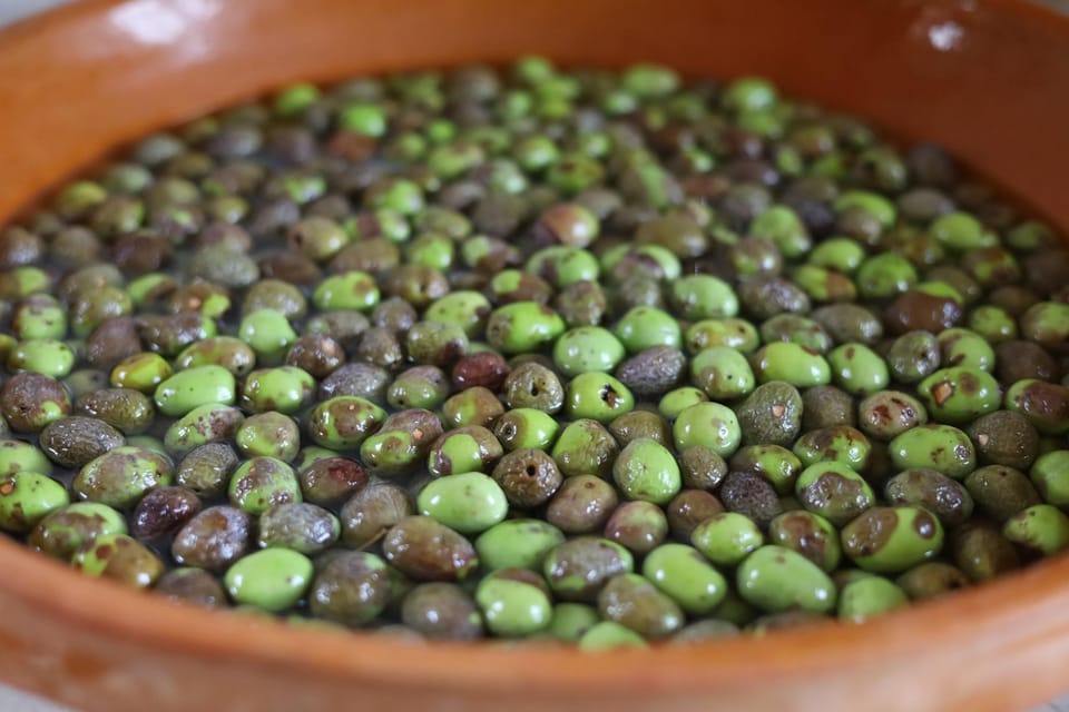 San Felice: Olive Oil Tasting with local food on Garda Hills - Accessibility, Weather, and Practical Comfort