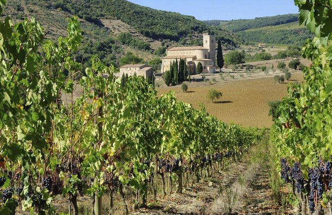 San Gimignano, Chianti, and Montalcino Day Trip from Siena - Key Things I’d Plan For