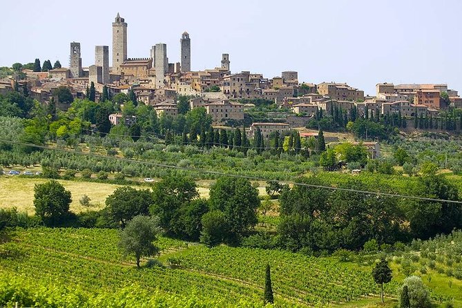 San Gimignano, Chianti, and Montalcino Day Trip from Siena - Group size and guide quality: your main risk factor