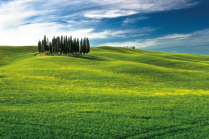 San Gimignano, Chianti, and Montalcino Day Trip from Siena - Price and value: $168.96 for wine, towns, and no driving stress
