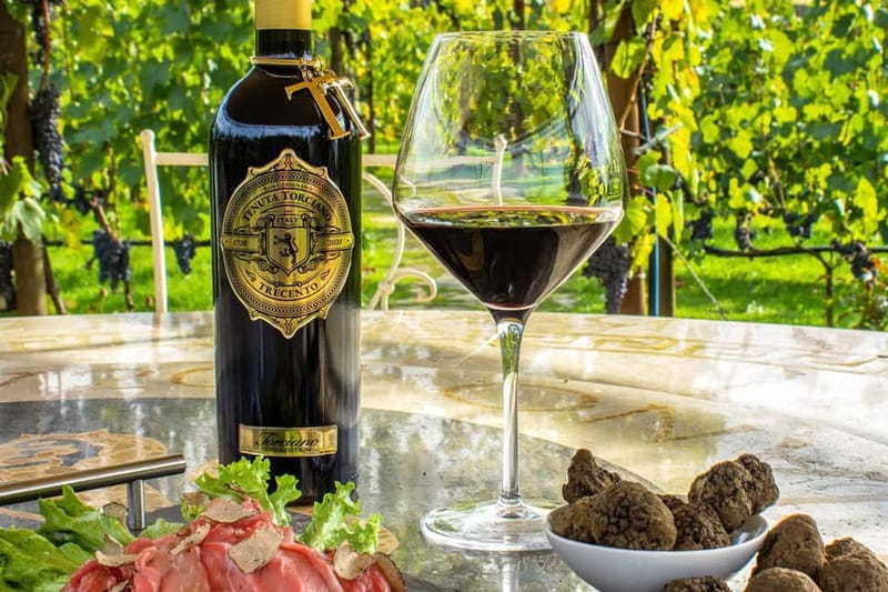 San Gimignano: Wine and Oil Tasting with Tuscan Appetizers - Key Takeaways Before You Go