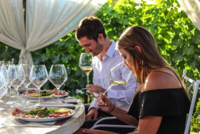 San Gimignano: Wine and Oil Tasting with Tuscan Appetizers - What You Taste: Reds, Whites, Balsamic, and Extra Virgin Olive Oil