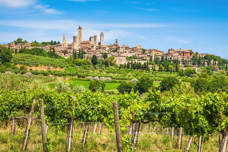 San Gimignano: Wine and Oil Tasting with Tuscan Appetizers - Learning From the Wine Expert: How the Explanations Land