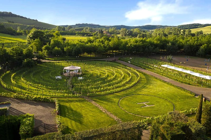 San Gimignano: Wine and Oil Tasting with Tuscan Appetizers - Skip the Tour, Focus on Taste: What’s Included (and What Isn’t)