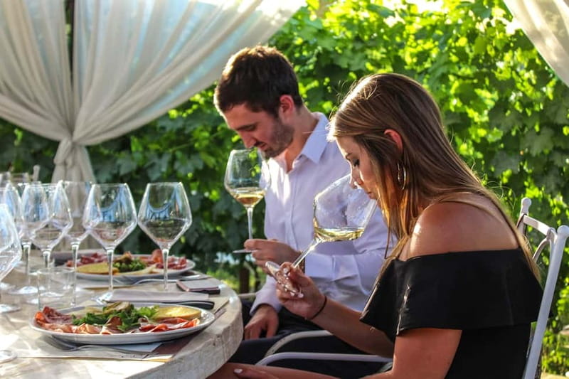 San Gimignano: Wine and Oil Tasting with Tuscan Appetizers - What You Taste: Reds, Whites, Balsamic, and Extra Virgin Olive Oil