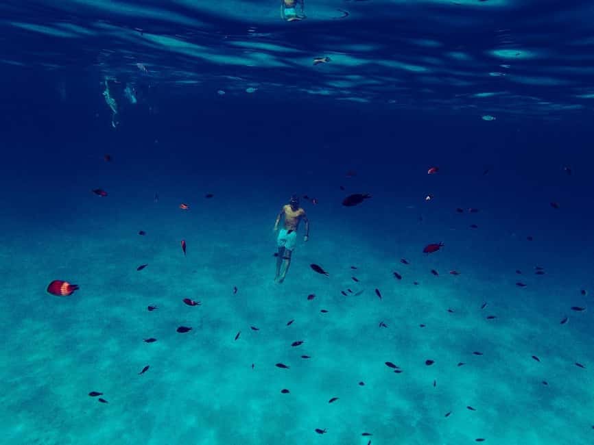San Teodoro: Tavolara and Molara Islands Dinghy Excursion - Molara’s Natural Pools: the snorkeling highlight with real personal stories