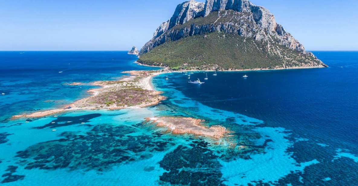Sardegna: Tavolara Boat Tour with Snorkeling - Cruising the Tavolara Marine Protected Area: the scenic payoff between swims