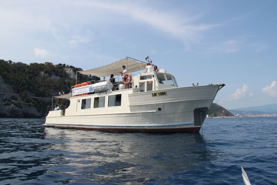 Savona: Pelagos Sanctuary Wildlife Cruise with Guide - The Hunt With Simone and Ettore: How the Spotting Actually Works