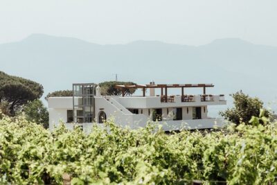 Scenic Wine Tasting & Lunch on the Slopes of Vesuvius from Naples - Meeting at Starhotels Terminus: Simple Pickup, Smart Planning