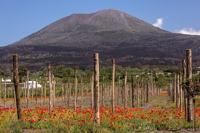 Scenic Wine Tasting & Lunch on the Slopes of Vesuvius from Naples - Transport and Time: The Part to Get Right in Your Head