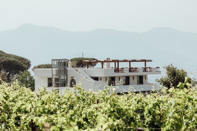 Scenic Wine Tasting & Lunch on the Slopes of Vesuvius from Naples - Meeting at Starhotels Terminus: Simple Pickup, Smart Planning