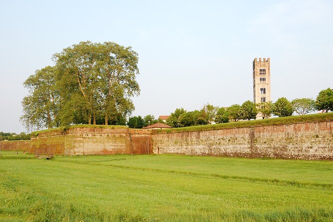 Self-guided Bike Tour from Lucca to Pisa - Arriving in Pisa: Leaning Tower time and what to do with it