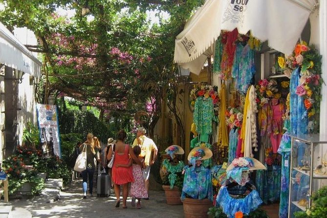 Shared Amalfi Coast by Minivan 8 pax Land Tour from Sorrento - Your Driver Is Part of the Product