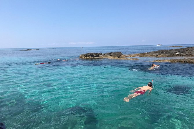 Shared snorkeling tour from Tropea to Capo Vaticano - Crew and guidance: why it matters more than you think