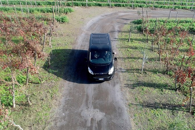 Shared Transfer from Sorrento to Naples Airport - Comfort and Driver Service: air-conditioning, space, and help with luggage