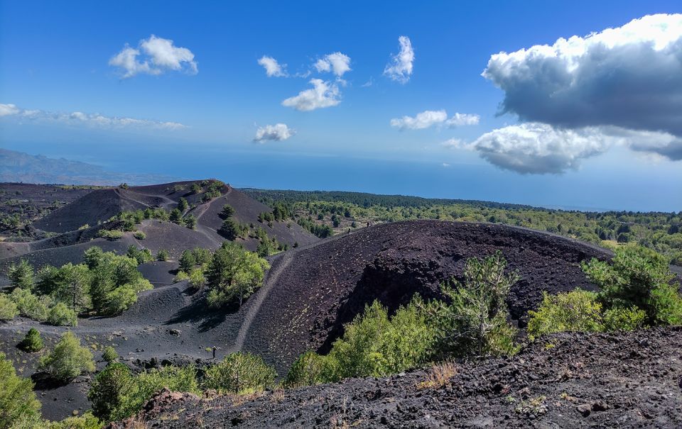 Sicily: Etna and Alcantara Gorges Full-Day Tour with Lunch - Lunch at a Local Etnean Restaurant: Included Fuel for the Afternoon
