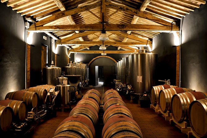 Siena: A Wine Tour and Tasting Experience - Why This Siena Wine Tour Feels More Like Education Than Entertainment