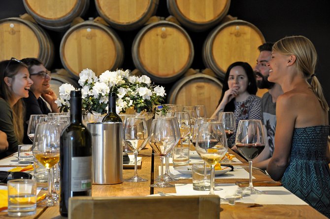 Siena: A Wine Tour and Tasting Experience - Stop 1 in the Vineyards: Organic Grapes, Soil Work, and Harvest Logic