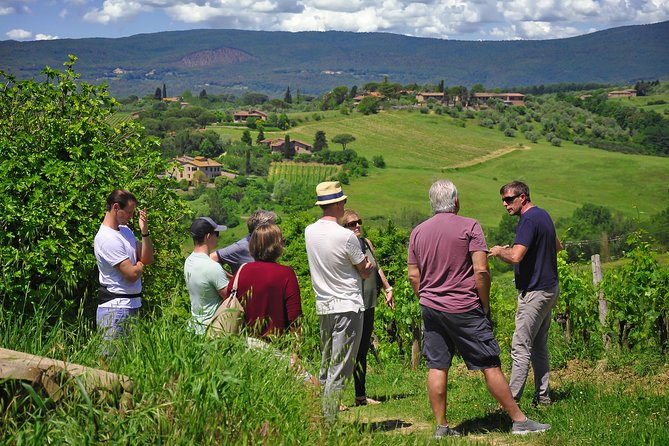 Siena: A Wine Tour and Tasting Experience - Stop 3 Tasting Room: Four Organic Wines and a Better Way to Taste