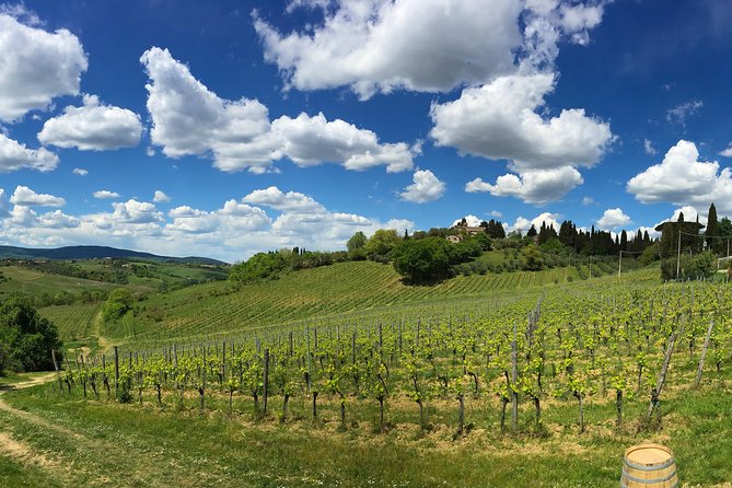 Siena: A Wine Tour and Tasting Experience - Views, Photos, and the Outdoors Reality