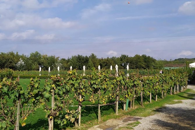 Siena and San Gimignano from Rome: Wine Tasting Tour in Tuscany - Siena Duomo: What You See (and What You Don’t)