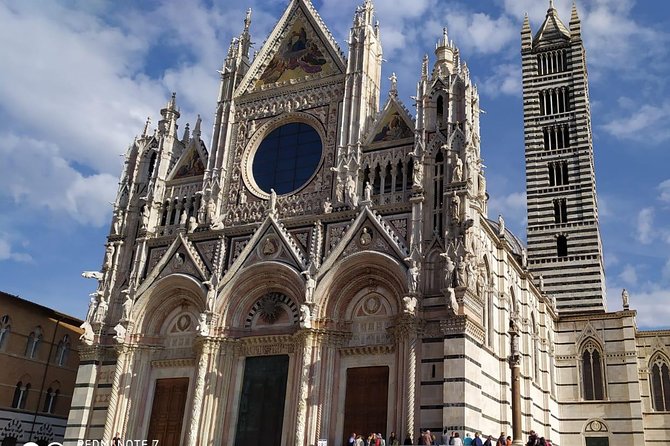 Siena and San Gimignano from Rome: Wine Tasting Tour in Tuscany - Piazza del Campo: UNESCO Square and Palio Timing in Plain English