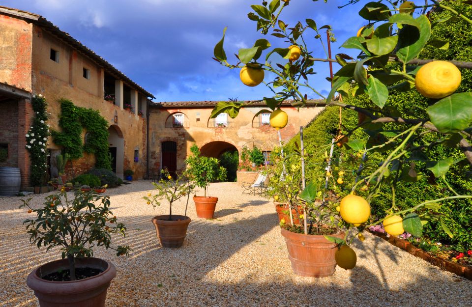 Siena: Educational Wine Tour & Tasting - Historical Cellar Lessons: Microbes, Chemistry, and Why It’s Not Scary