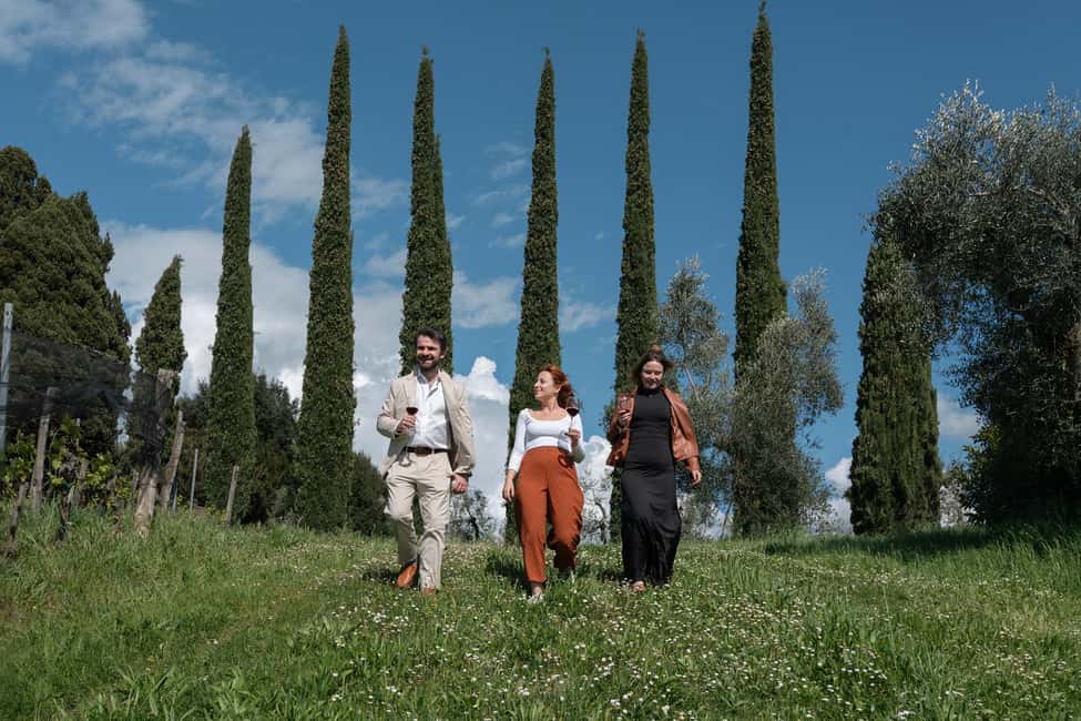 Siena: Educational Wine Tour & Tasting - Light Tuscan Lunch: Pairing Food With What You Just Tasted