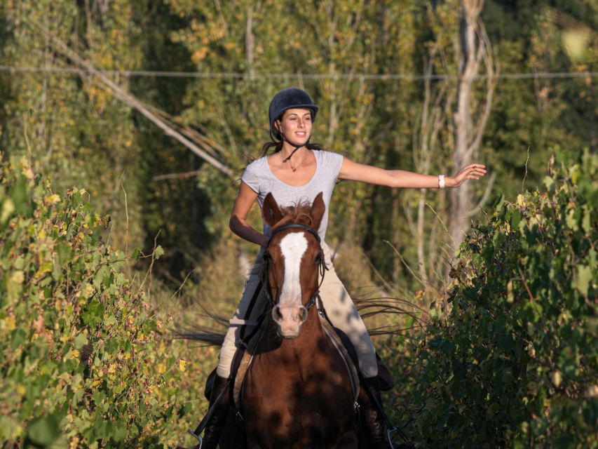 Siena: Horseback Adventure in the Tuscan Countryside - Key highlights at a glance
