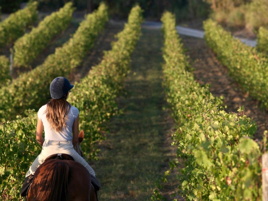 Siena: Horseback Adventure in the Tuscan Countryside - How the horses and guides make it work for beginners (and not feel dumb)