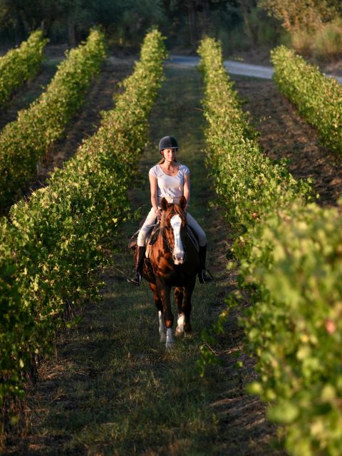 Siena: Horseback Adventure in the Tuscan Countryside - What you might see in the countryside: flora, fauna, and history talk on the move