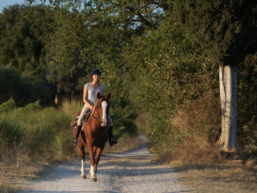 Siena: Horseback Adventure in the Tuscan Countryside - Price and value: what $79.30 buys you in real terms