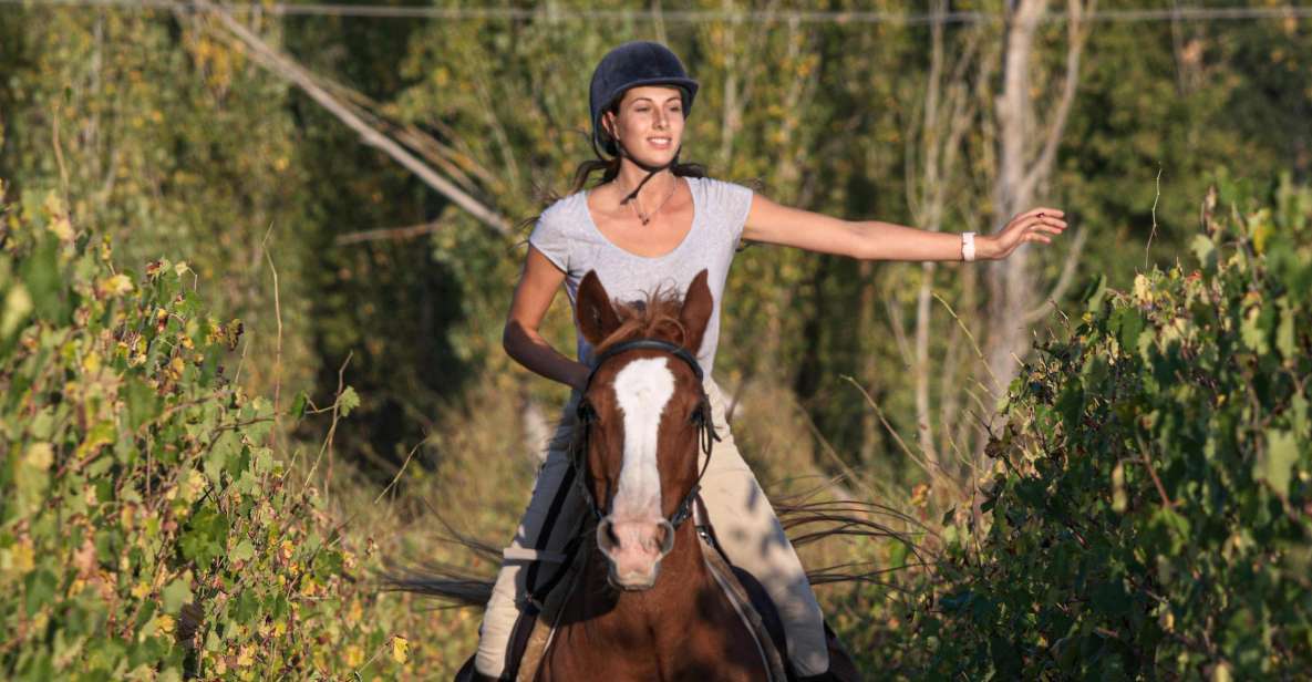 Siena: Horseback Adventure in the Tuscan Countryside - The 1-hour ride through Siena Province: what the trail feels like