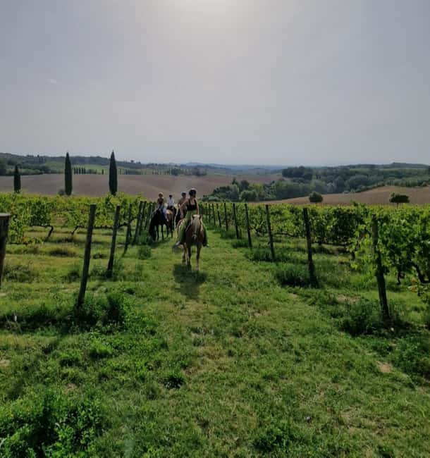 Siena: Horseback Riding Tour in the Tuscany Countryside - Key points to know before you book