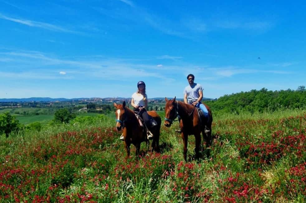 Siena: Horseback Riding Tour in the Tuscany Countryside - The training session: how they help beginners feel comfortable