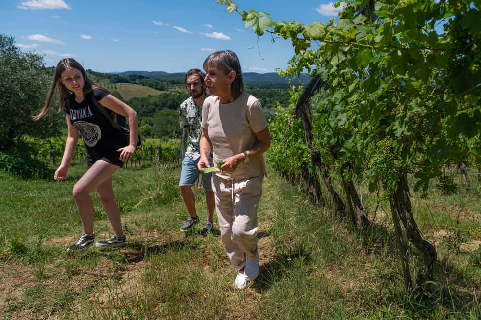 Siena: Organic Winery Tour and Wine Tasting - Getting there from Siena: the 2 km detail that matters