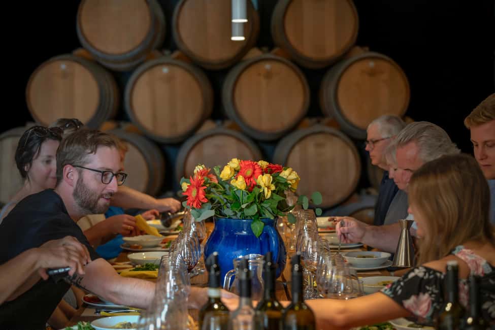 Siena: Organic Winery Tour and Wine Tasting - The vineyard walk: organic grapes, pruning, and biodiversity basics