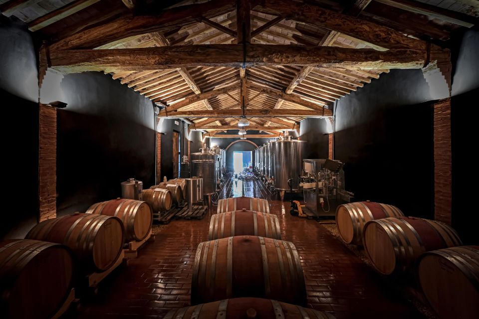 Siena: Organic Winery Tour and Wine Tasting - Your 5-wine tasting: how the guide turns aroma into meaning
