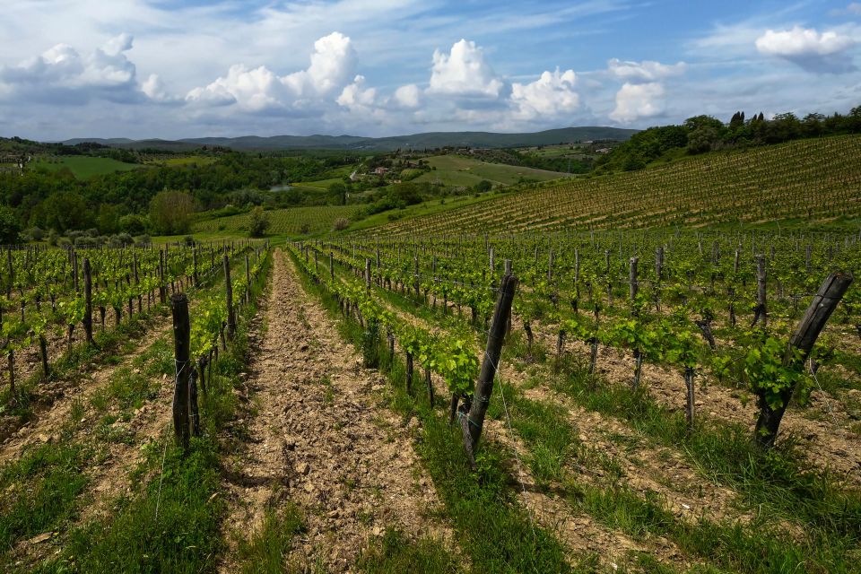 Siena: Organic Winery Tour and Wine Tasting - The afternoon meal: seasonal Tuscan food with garden-to-plate flavor