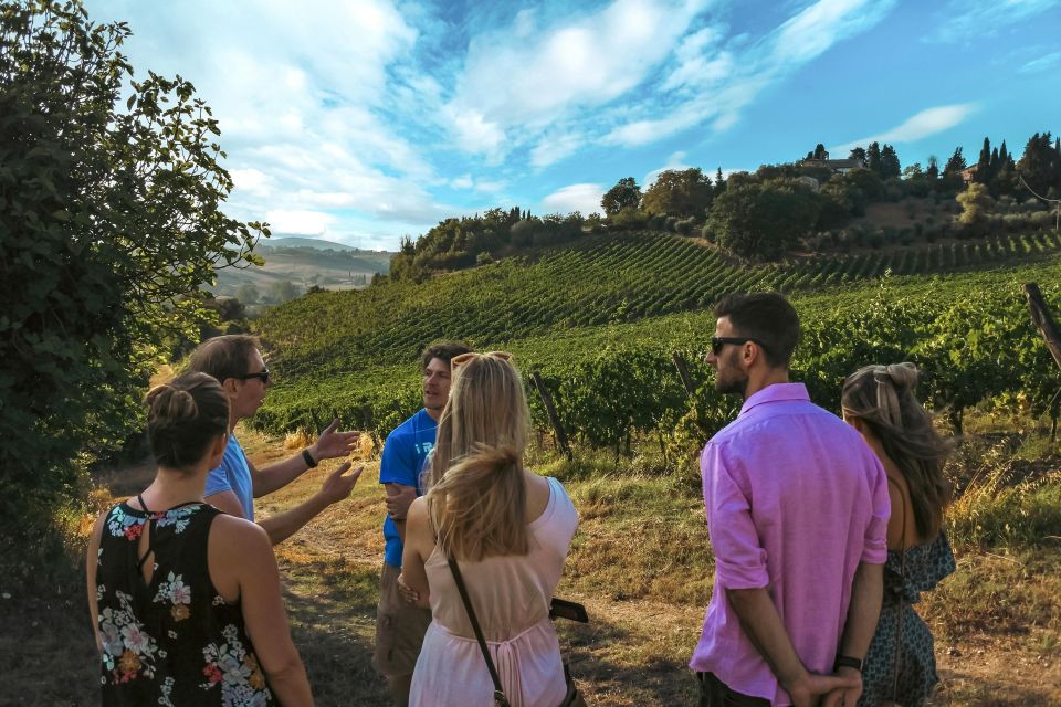 Siena: Organic Winery Tour and Wine Tasting - Who this tour is best for (and who should think twice)