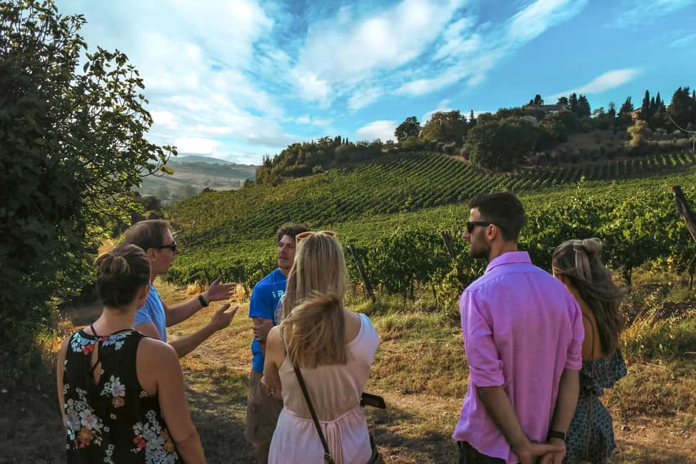 Siena: Organic Winery Tour and Wine Tasting - Price and value: $88 for 2.5 hours of vineyard + cellar + food