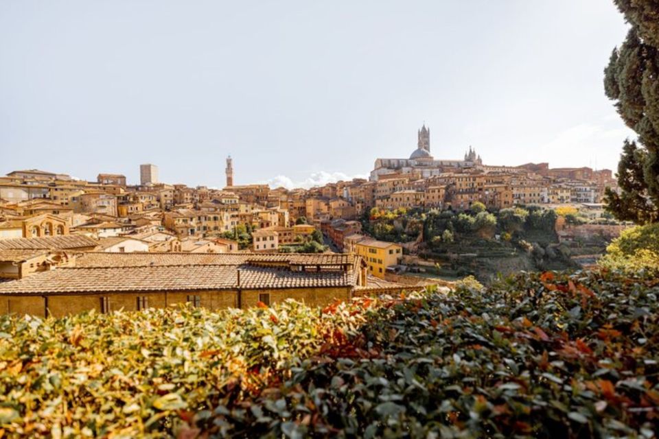 Siena: Private Custom Tour with a Local Guide - Key highlights that make this tour worth it