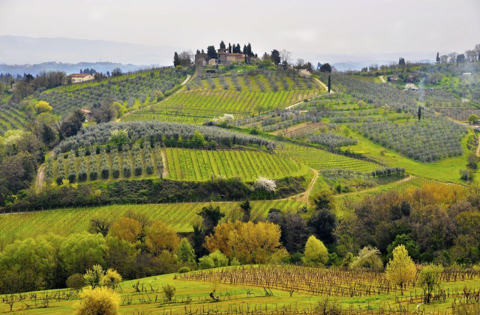 Siena: Small Group Cooking Class in Chianti Farmhouse - The practical checklist I’d use before you go